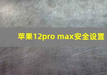 苹果12pro max安全设置